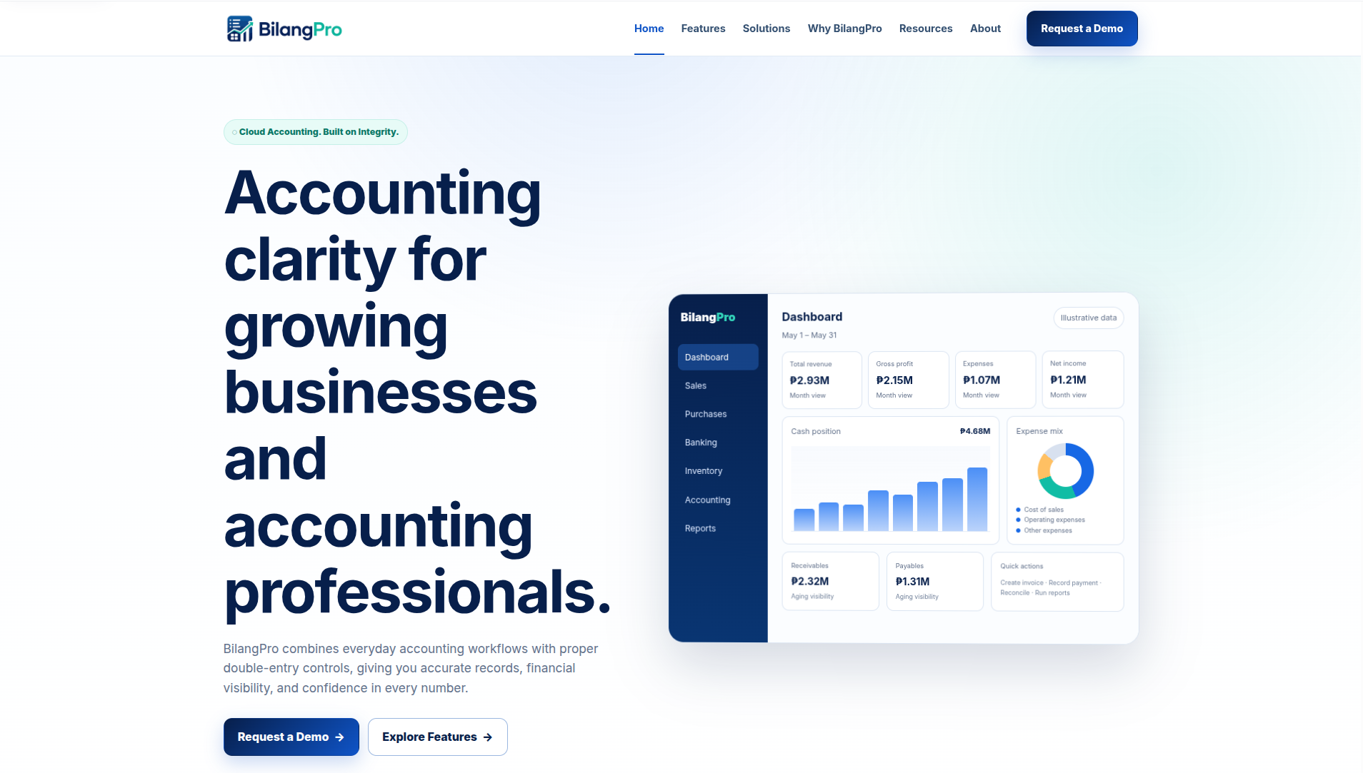 BilangPro Accounting SaaS project screenshot